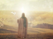 The Secret of Imam Ali’s Force of Attraction