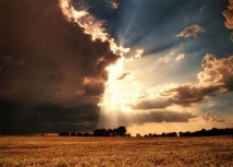 Imam Ali (AS) according to Quran and narrations	