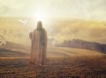 Why did Imam Ali not resort to force? 