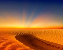 Why this timeless recommendation of Imam Ali (AS) is so important?