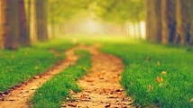 Imam Ali"s First Treatise on Ethics and Education part 8