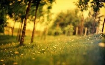 Imam Ali"s First Treatise on Ethics and Education part 9