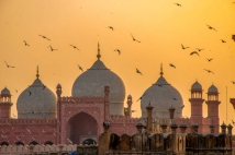 How did Prophet of Islam (PBUH) pray for Imam Ali (AS)?	