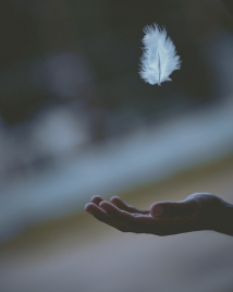 Imam Ali as an Apostle of Peace
