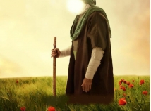Islam in View of Imam Ali (pbuh) 