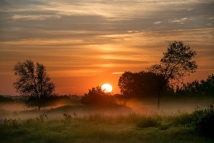 Father of the Orphans: Lesson2, Providing orphaned children with the best