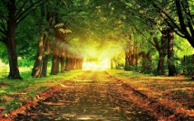 Lessons from the Life of Imam Ali ( on leading )