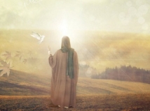 الامام علي (ع) : العدالة في معناها ج4