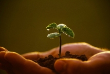 المساواة في تقسيم العطاء عند الامام علي (ع)